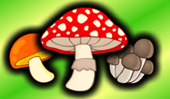 Merge Mushrooms: Forest Connect 2048