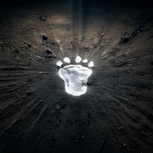 Footsteps In The Dark