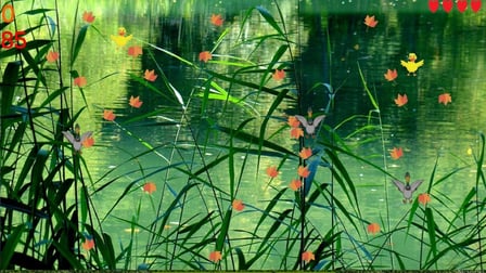 The Last Duck Hunter - Screenshot 2