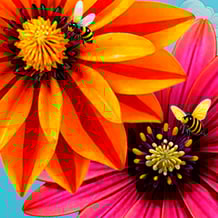 Merge flowers 2048
