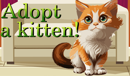 Adopt a kitten!