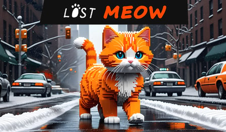 Lost Meow