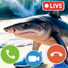 Tralalelo Tralala Calls: Chat Prank, Video, Stream