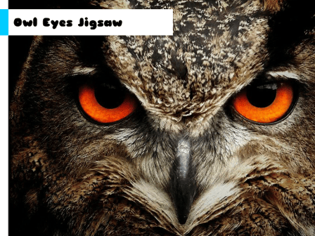 Owl Eyes Jigsaw