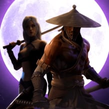 Samurai Versus Ninja