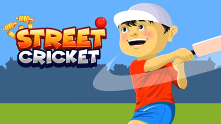 Street Cricket