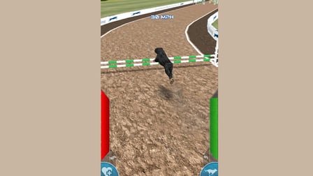 Dog Racing Simulator