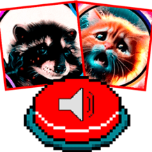 Guess the memes