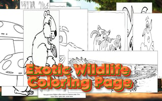 Exotic Wildlife Coloring Page