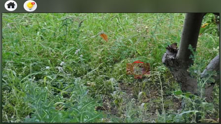 Can you find the cat? - Screenshot 3