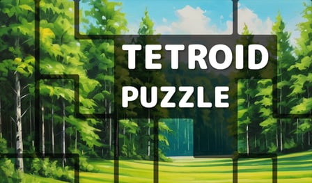 Tetroid Puzzle