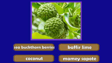 Guess The Fruit World Quiz - Screenshot 4