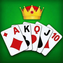 Durak for Pro