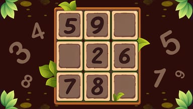 Sudoku - Number Games