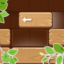 Block Slider Wood Puzzle