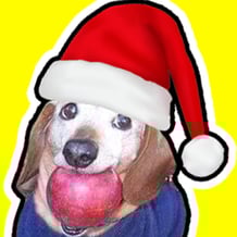 Come in New Year