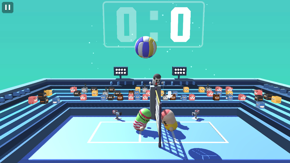 Volleyball 3D cover