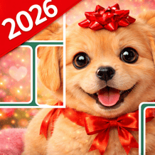 Assemble the best Puzzle