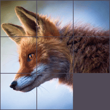 15 Puzzle: Pictures