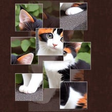 Assemble beautiful puzzles