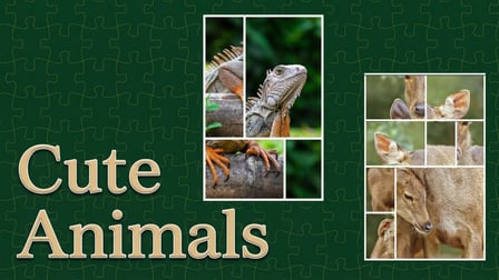 Picture Puzzle - Screenshot 1