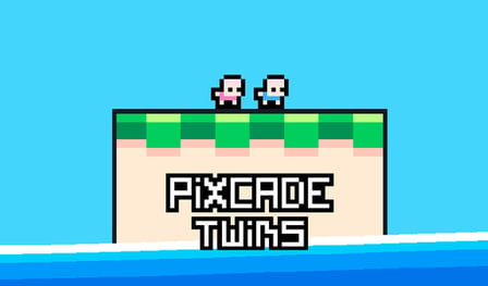 Pixcade Twins