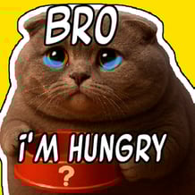 Feed Your Bro Tycoon