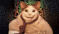 Boo, labyrinth 3D