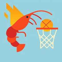 Mega basketball