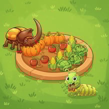 Save the harvest