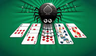 Spider Solitaire Cards