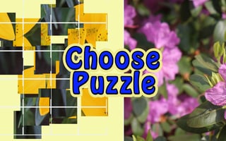 Choose Puzzle