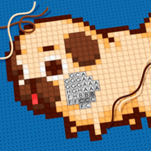 Cross Stitching