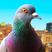Pigeon Simulator: Birds Adventure