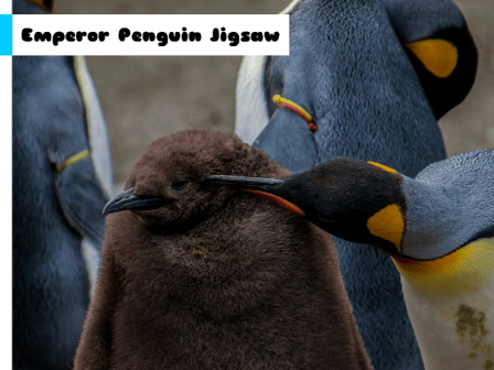 Emperor Penguin Jigsaw