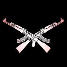 Gun Shooting Simulator