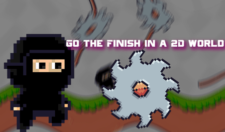 Go the Finish in a 2D world