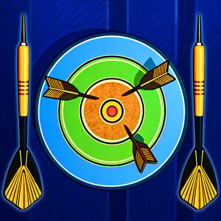 Darts Pro