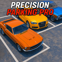 Precision Parking Pro