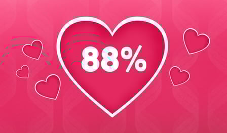 Love Tester