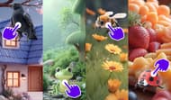 Hidden Objects: Find and Sort