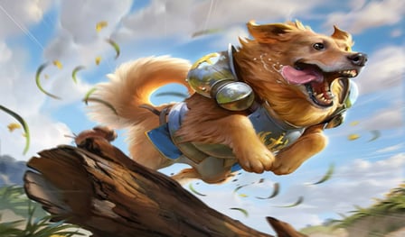 Catch the Dog
