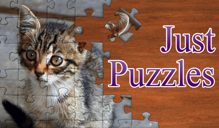 Juste des Puzzles