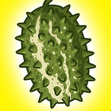 Wild cucumber - memology clicker