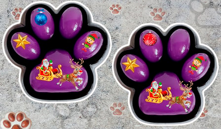 Taba Paws Squish Find the Differences