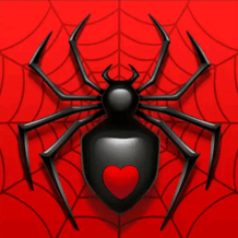 Spinne 2025