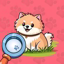 Find The Dog