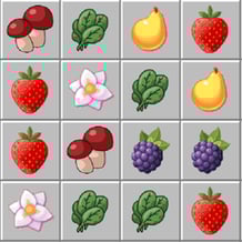 Match 3 Game. Forest and Garden