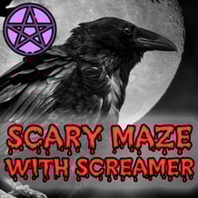 Scary maze with screamer