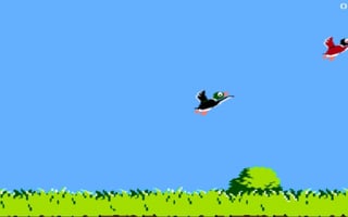 Duckhunt